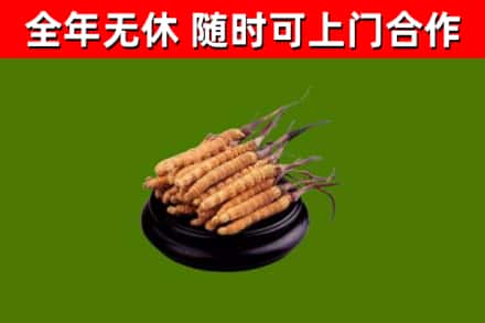 大厂县烟酒回收冬虫夏草.jpg